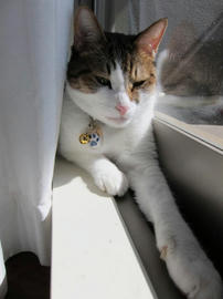 IMG03329.jpg