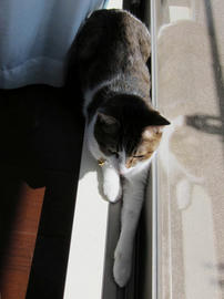 IMG03330.jpg