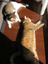 IMG03331.jpg