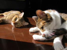 IMG03333.jpg