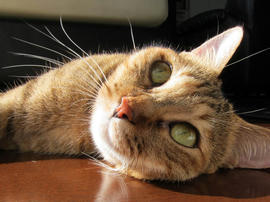 IMG03335.jpg