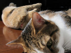 IMG03337.jpg