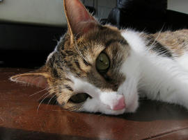 IMG03338.jpg