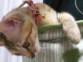 IMGP6778.jpg
