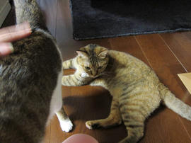 IMG03340.jpg