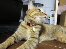 IMG03341.jpg