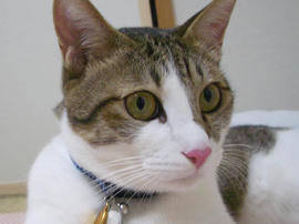 IMGP12103.jpg