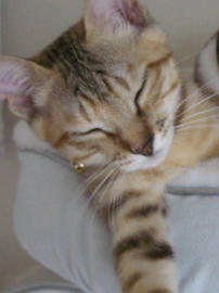 IMGP6812.jpg