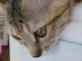 IMGP6815.jpg