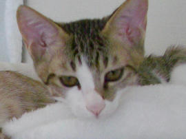 IMGP6825.jpg
