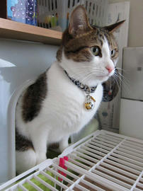 IMG03361.jpg