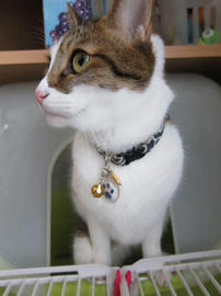 IMG03362.jpg