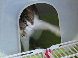 IMG03366.jpg