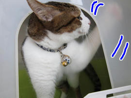 IMG03367.jpg