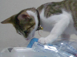 IMGP6883.jpg