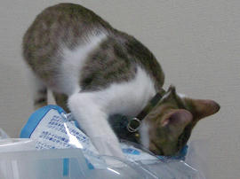 IMGP6886.jpg