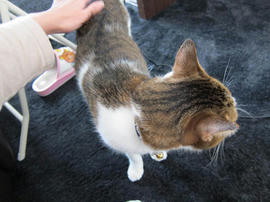 IMG03369.jpg