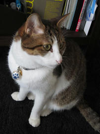IMG03371.jpg
