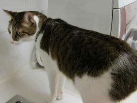IMG03375.jpg