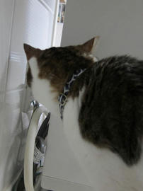 IMG03376.jpg