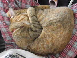 IMG03382.jpg