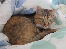 IMG03386.jpg
