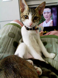 PAP_0419.jpg