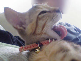 PAP_0420.jpg