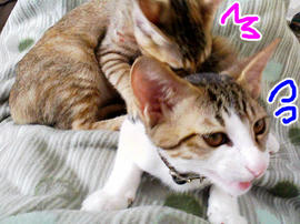 PAP_0423.jpg