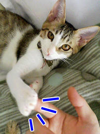 PAP_0425.jpg