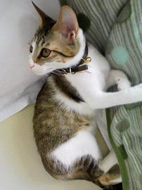 PAP_0427.jpg