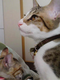 PAP_0429.jpg