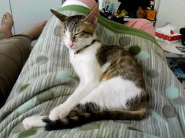PAP_0113.jpg