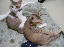 IMGP6895.jpg