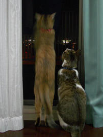 IMGP12140.jpg