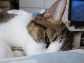 IMG03393.jpg