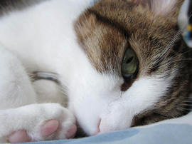 IMG03394.jpg