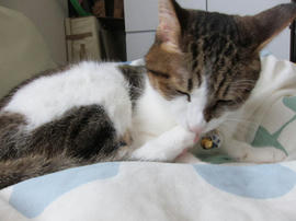 IMG03395.jpg