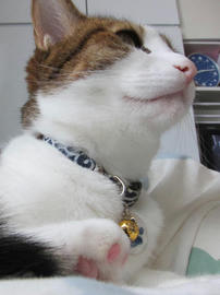 IMG03397.jpg