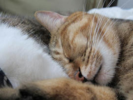 IMG03401.jpg