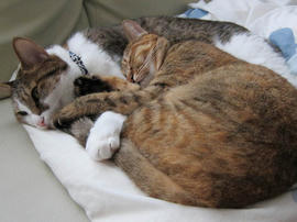 IMG03405.jpg