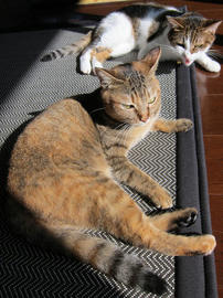 IMG03406.jpg