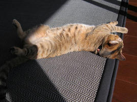 IMG03407.jpg