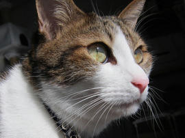 IMG03408.jpg