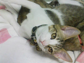 PAP_0108.jpg