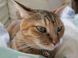 IMG03412.jpg