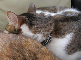 IMG03413.jpg