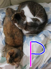IMG03415.jpg
