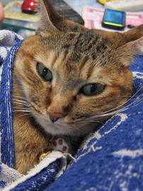 IMG03416.jpg