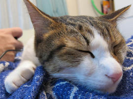 IMG03418.jpg